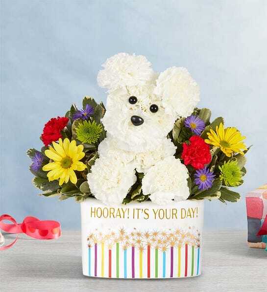 An adorable dog made outof white carnations in a special container.